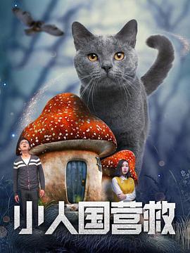 欧美一级毛片完整版的